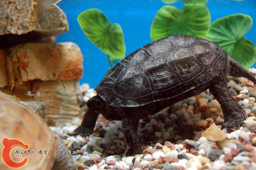 水族馆三 (5).jpg