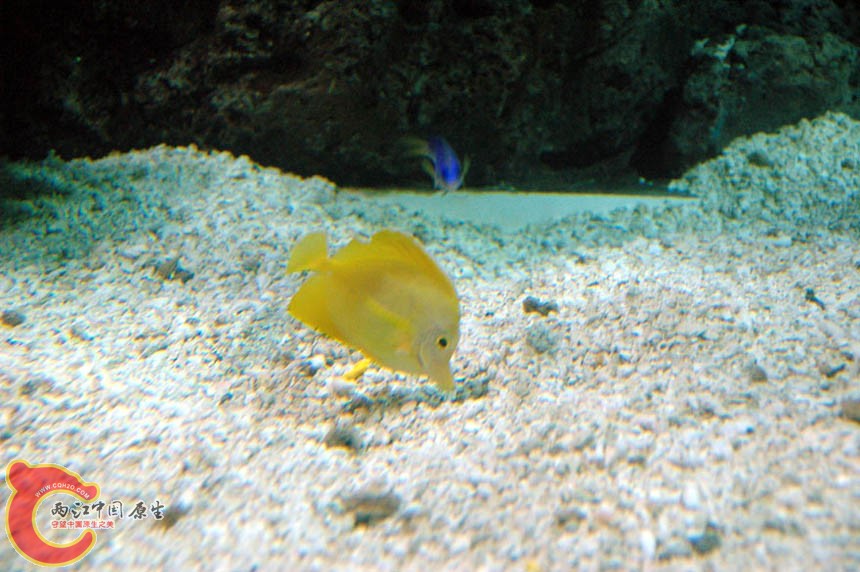 水族馆三 (19).jpg