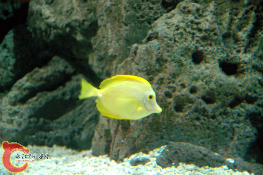 水族馆四 (7).jpg