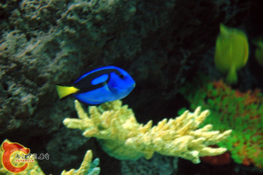 水族馆四 (8).jpg