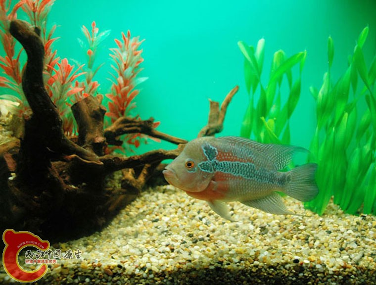 水族馆一 (2).jpg