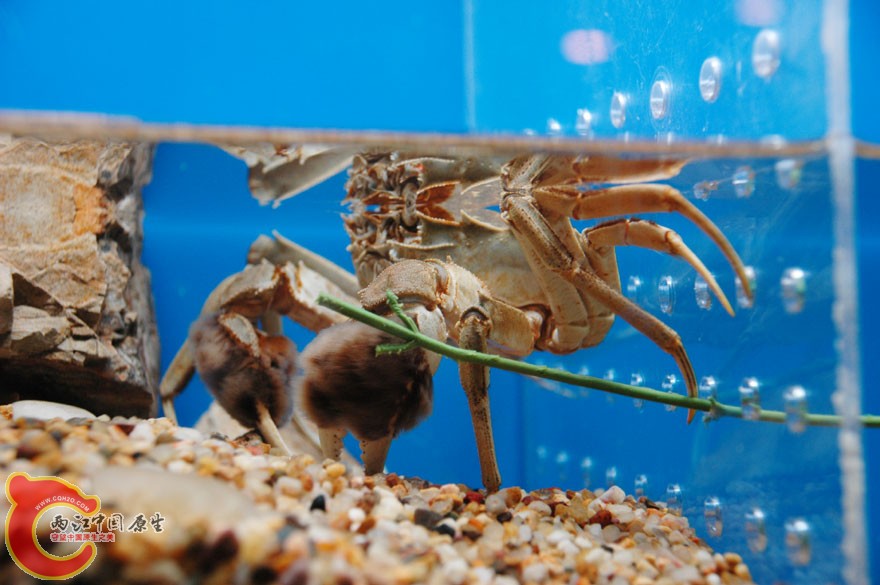 水族馆一 (5).jpg