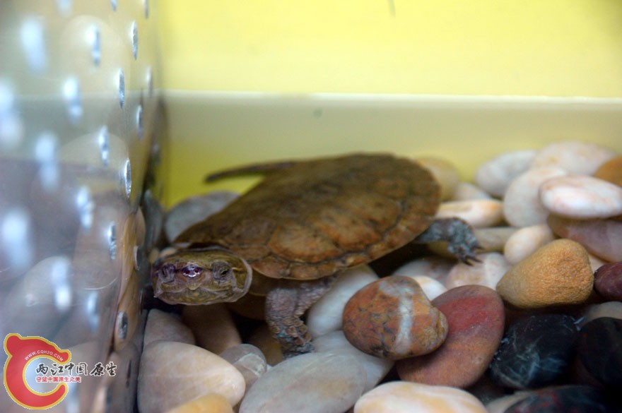 水族馆一 (9).jpg