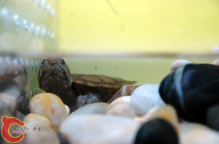 水族馆一 (10).jpg