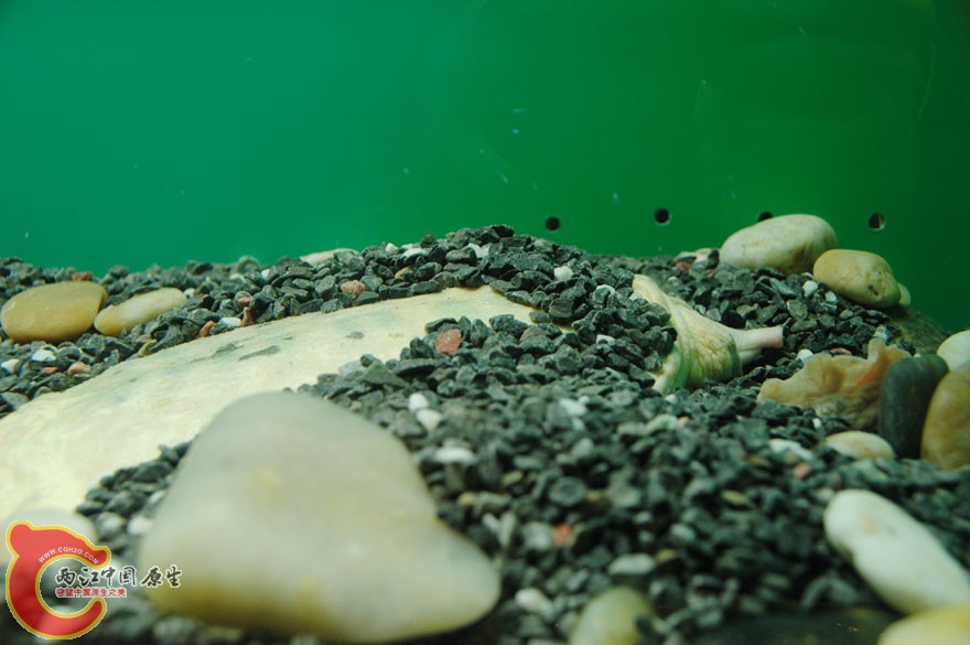 水族馆一 (7).jpg