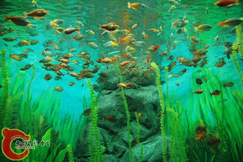 水族馆一 (28).jpg