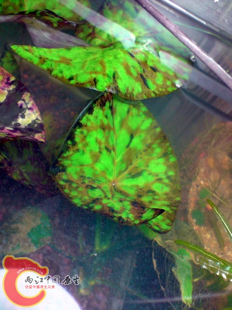 P220210_18.23.jpg