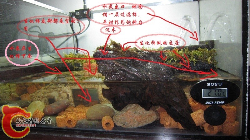 IMG_吐.jpg