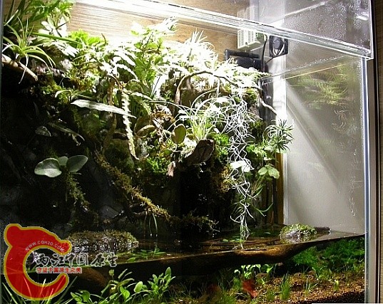 20100110_2f30f97f92d17d837e8czi6k4URUYdqk_副本.jpg