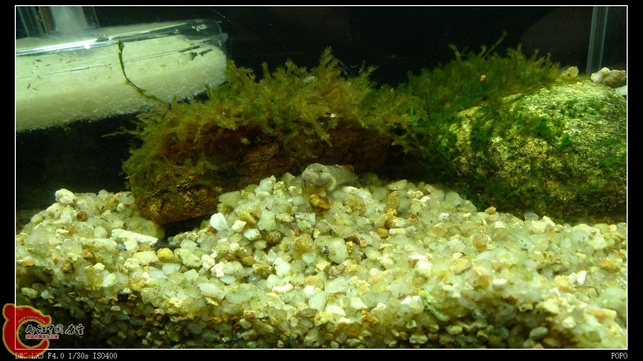 20100301a.jpg