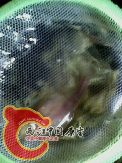 IMG0484A.jpg