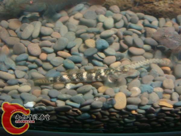 DSC03980.JPG