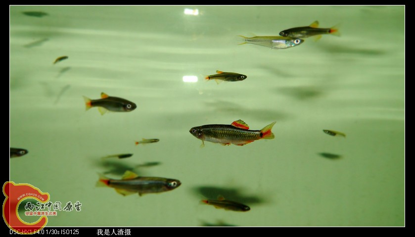 DSC02810.JPG