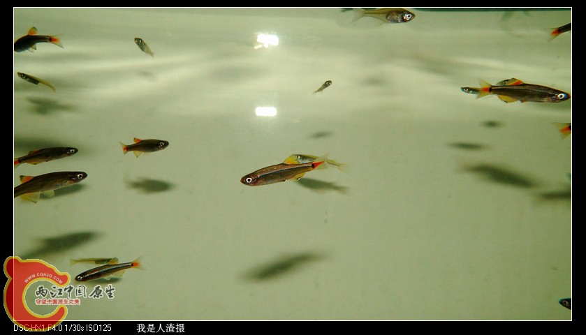 DSC02822.JPG
