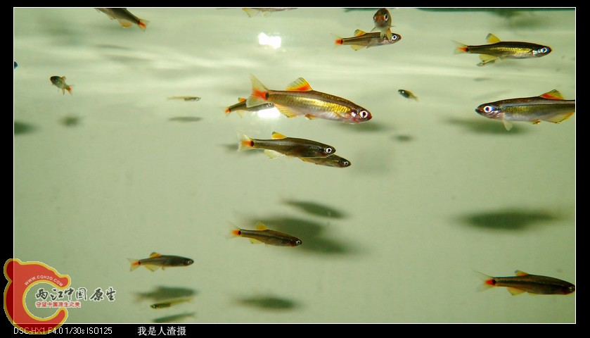 DSC02823.JPG