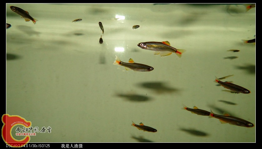 DSC02824.JPG