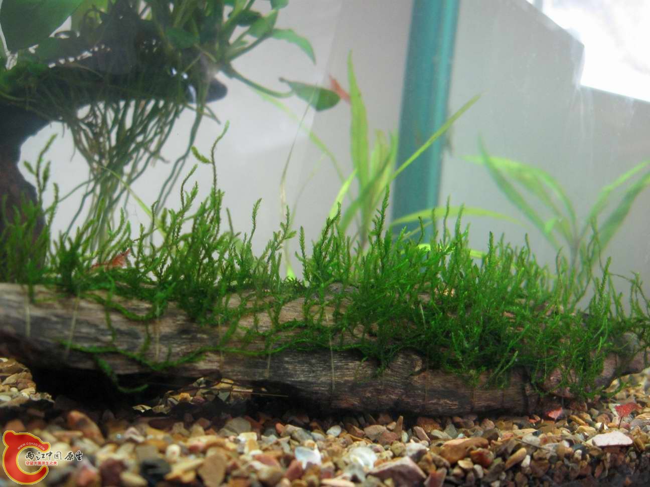 调整大小 照片 004.jpg