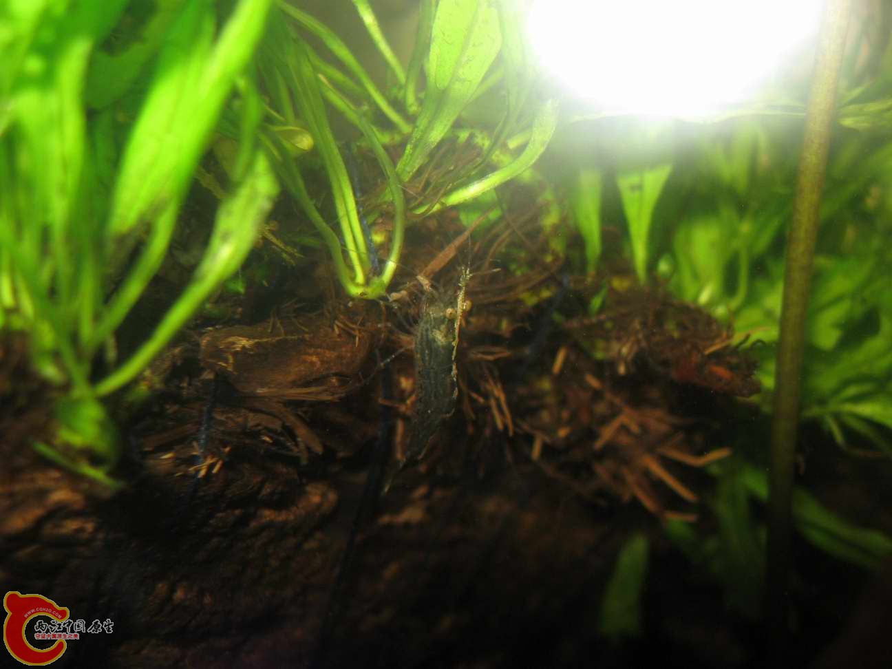 调整大小 照片 032.jpg