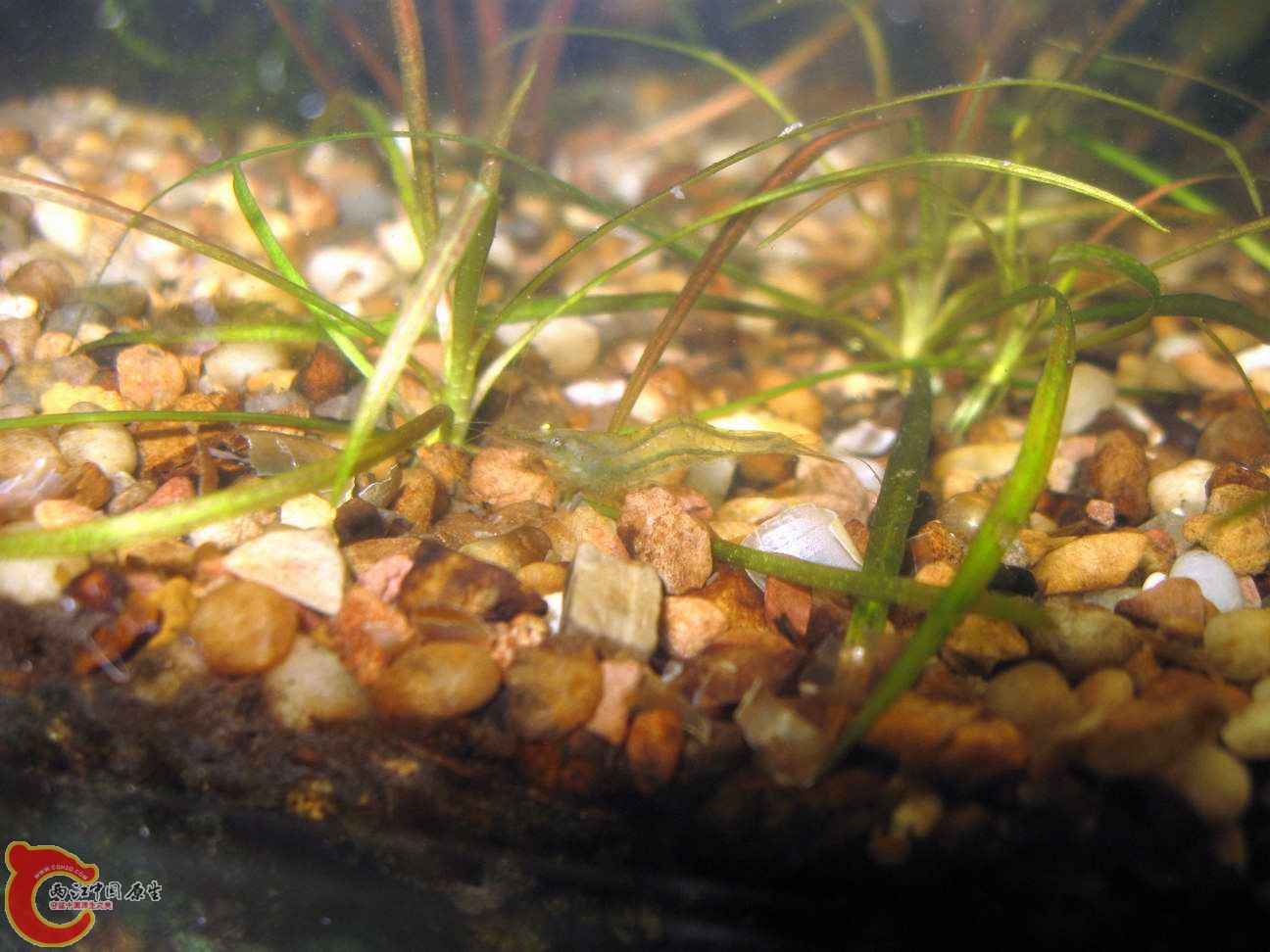 调整大小 照片 027.jpg