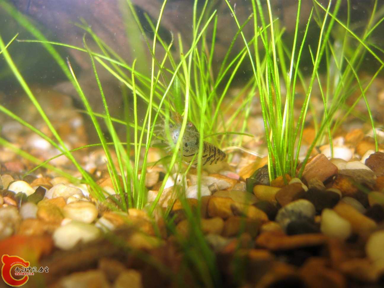 调整大小 照片 042.jpg