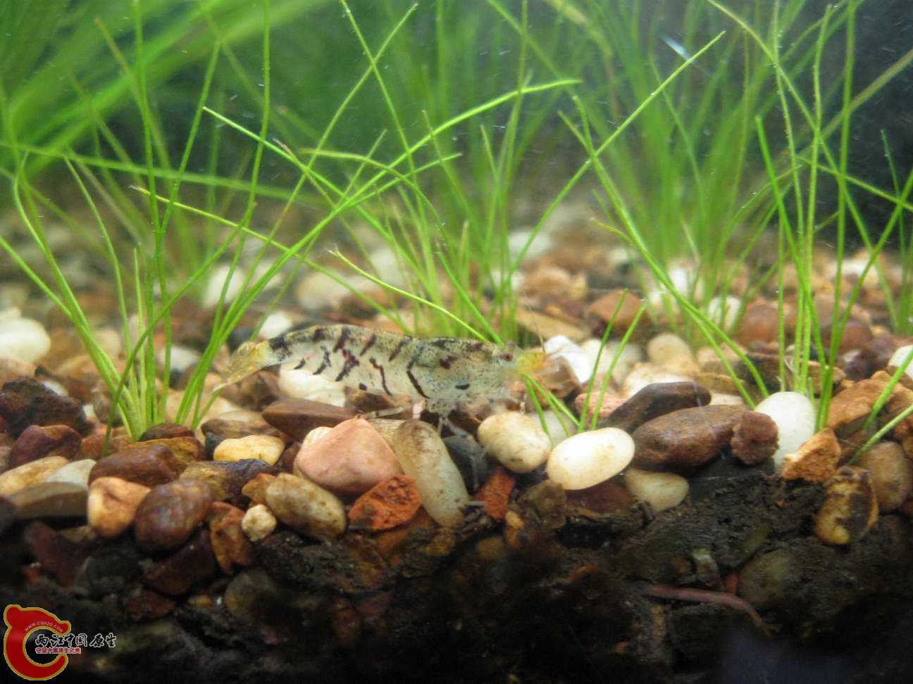 调整大小 照片 049.jpg