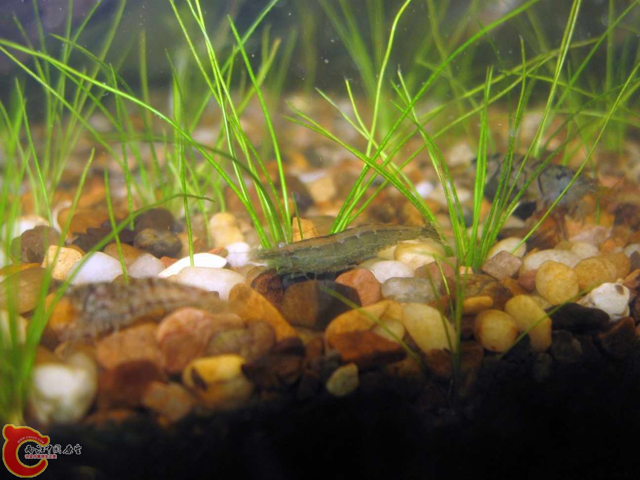 调整大小 照片 074.jpg