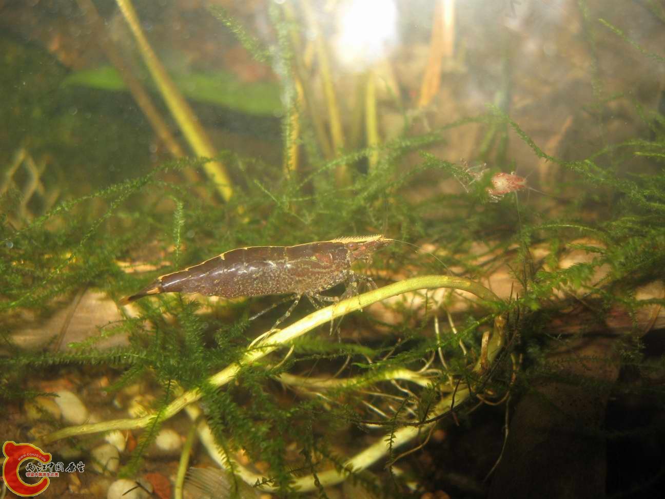 调整大小 照片 072.jpg