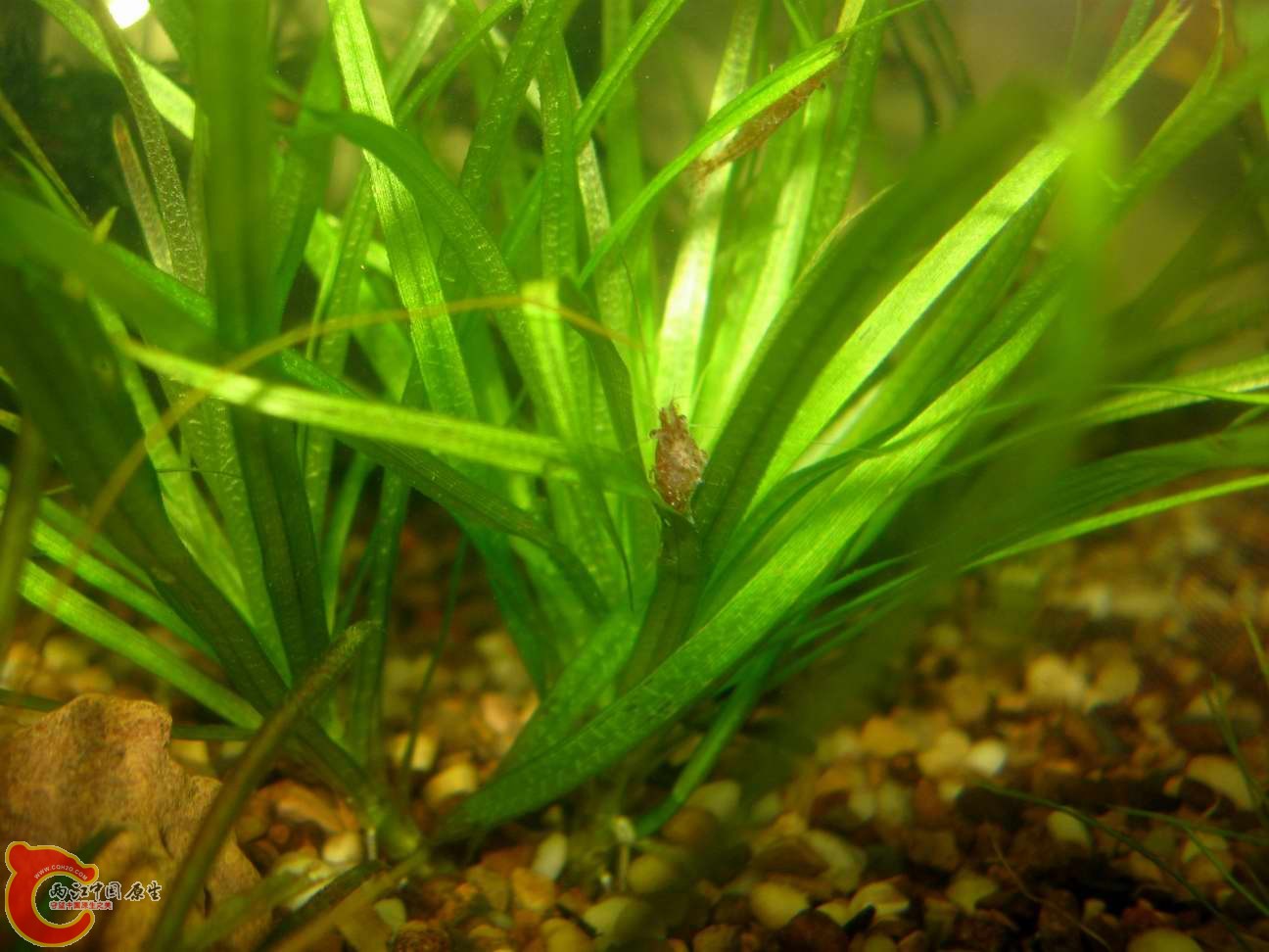 调整大小 照片 062.jpg