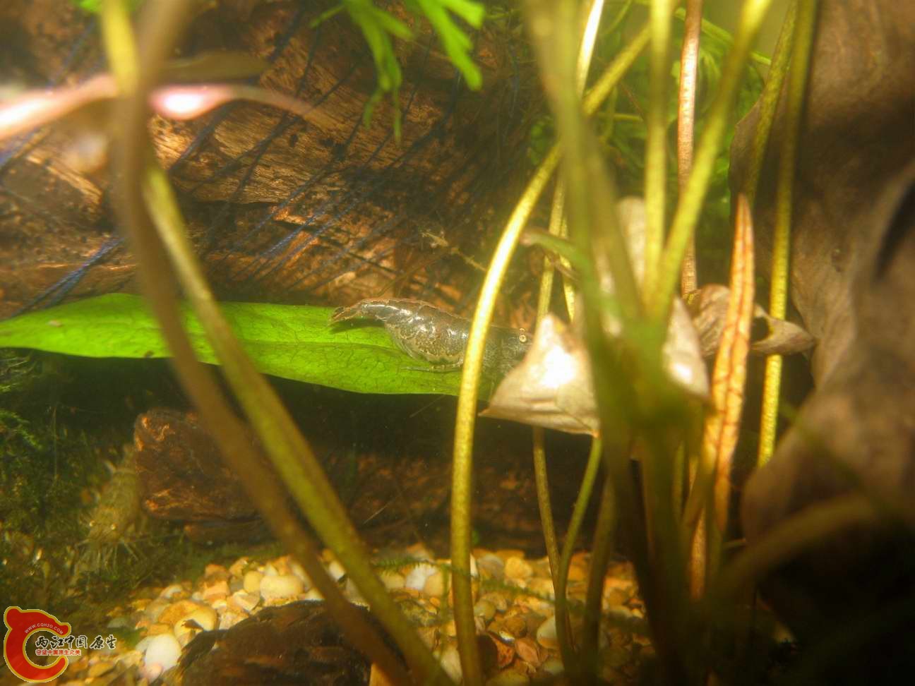 调整大小 照片 081.jpg