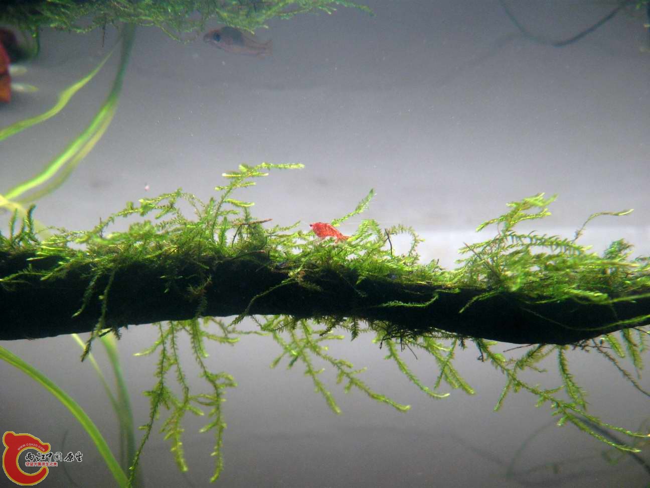 调整大小 照片 086.jpg