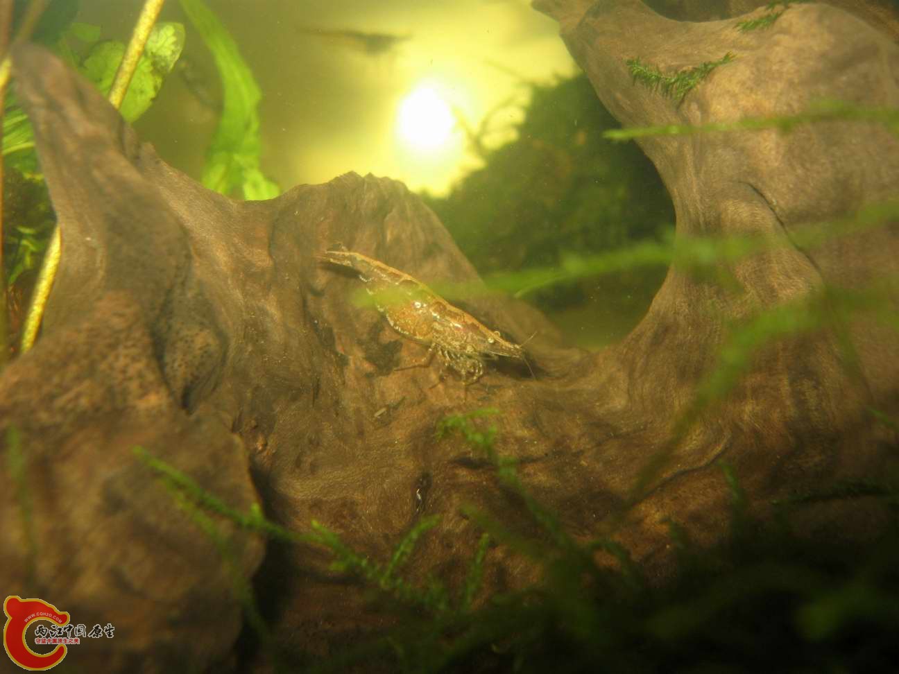 调整大小 照片 080.jpg