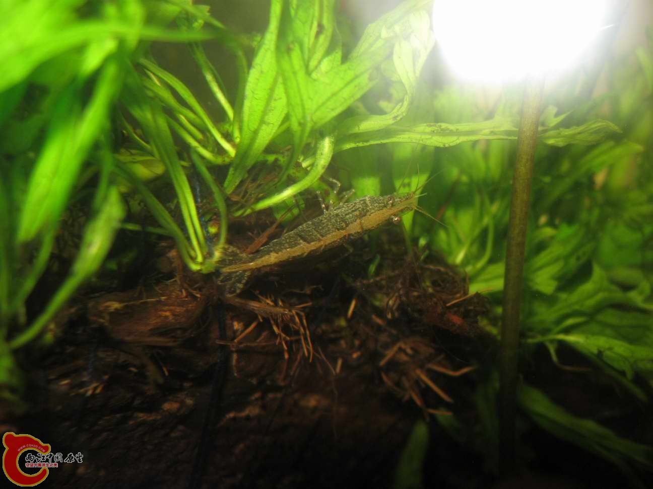 调整大小 照片 078.jpg