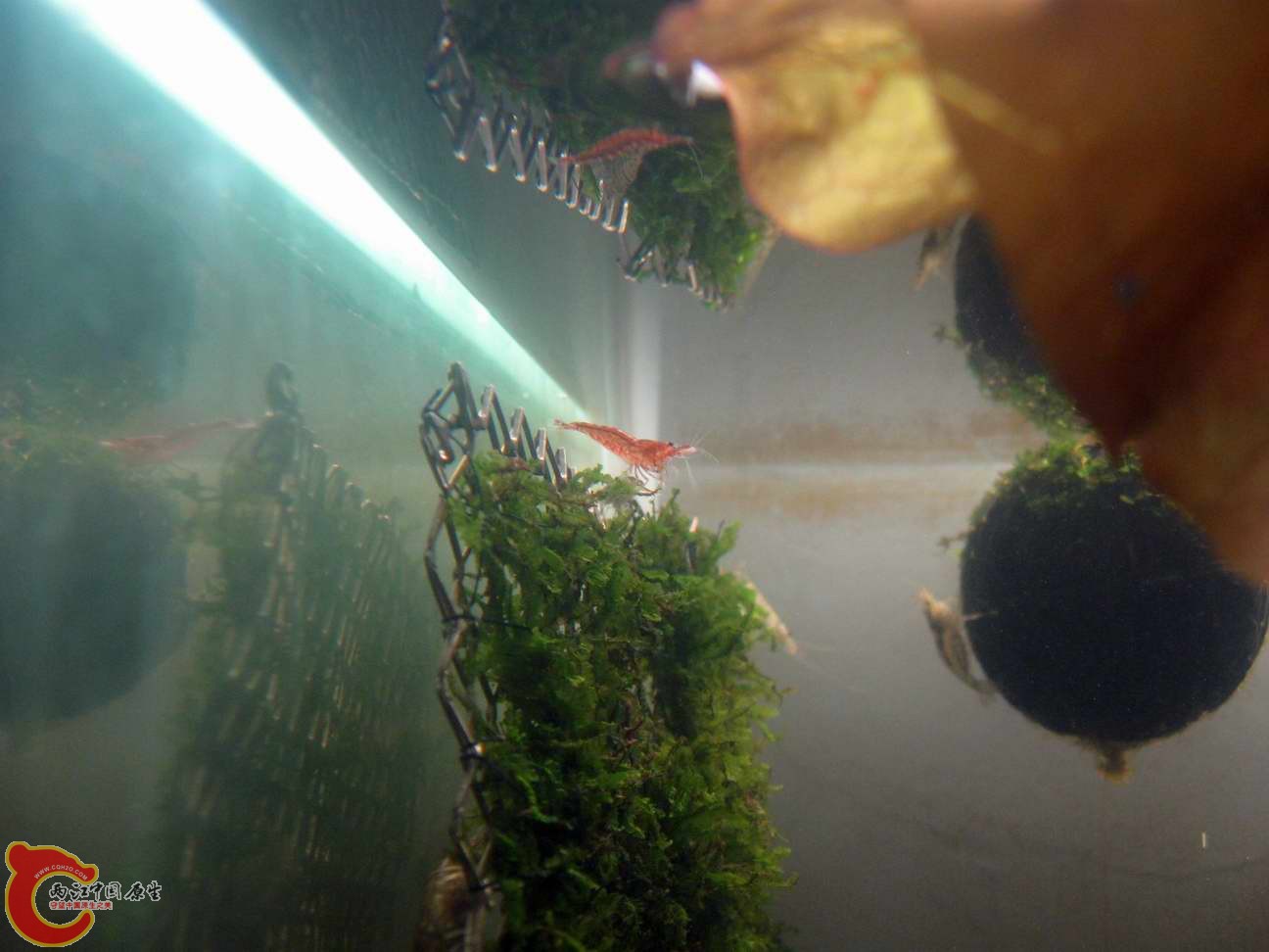 调整大小 照片 084.jpg