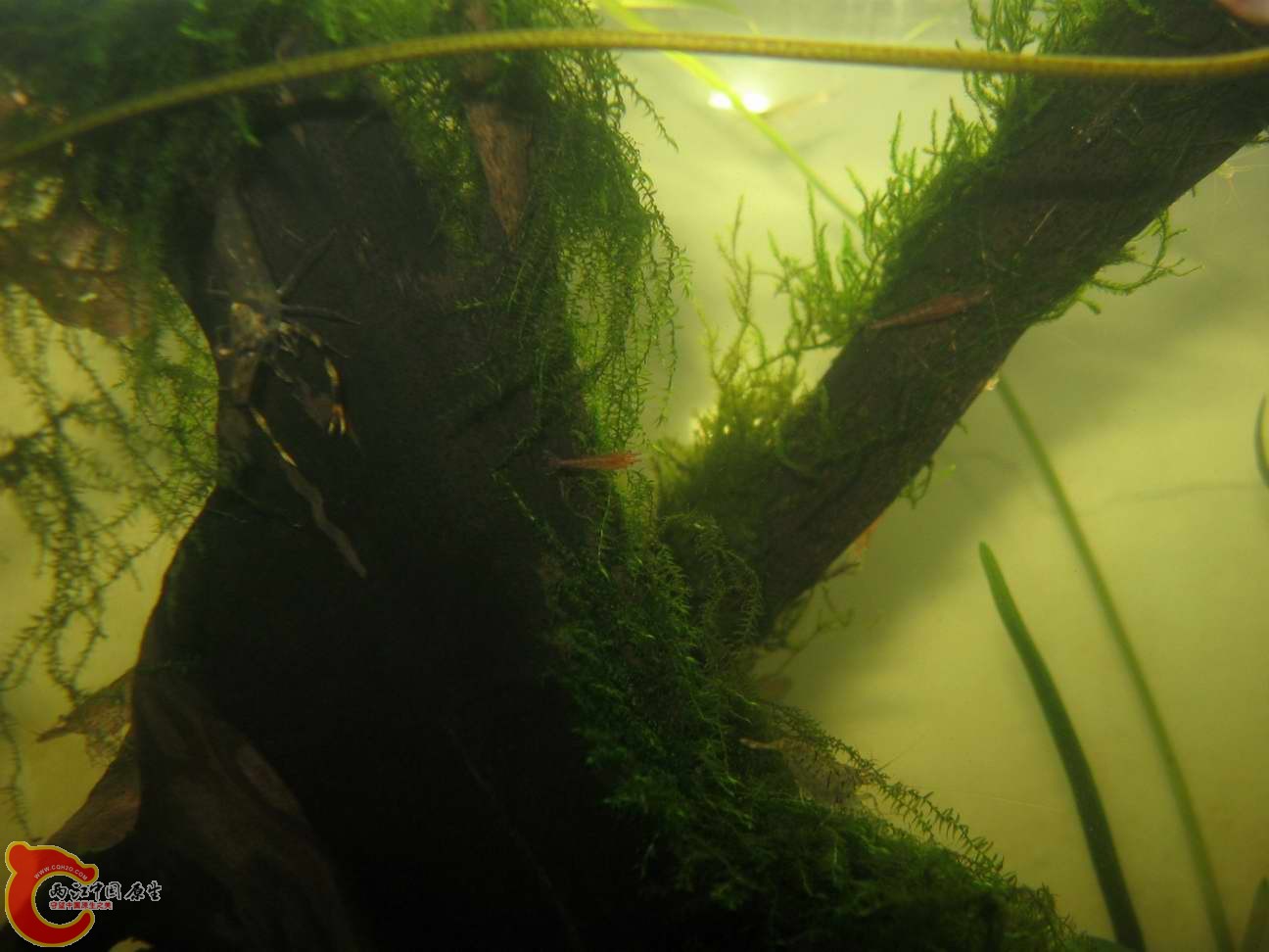 调整大小 照片 077.jpg