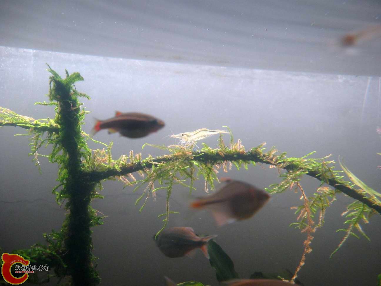 调整大小 照片 076.jpg