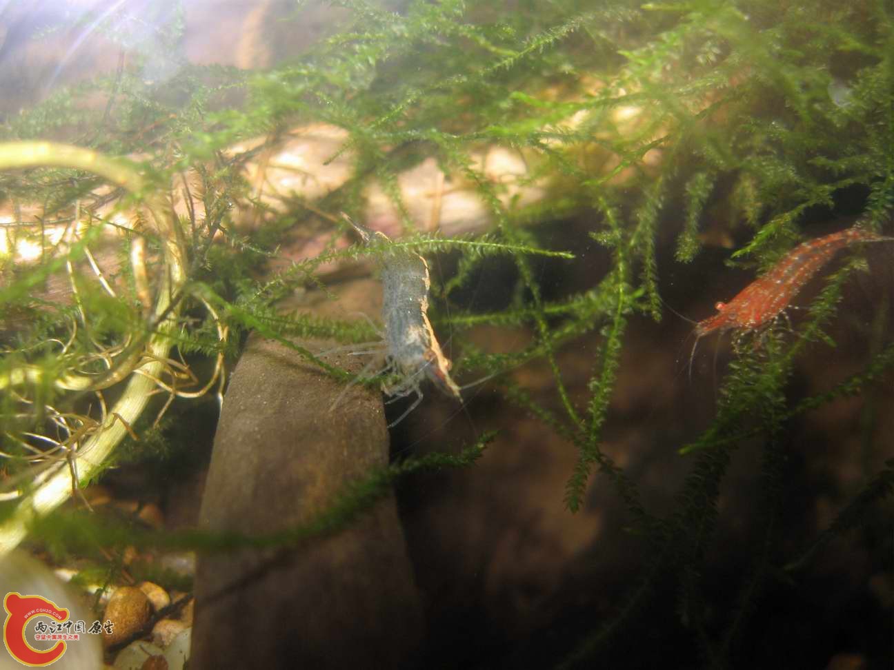 调整大小 照片 094.jpg