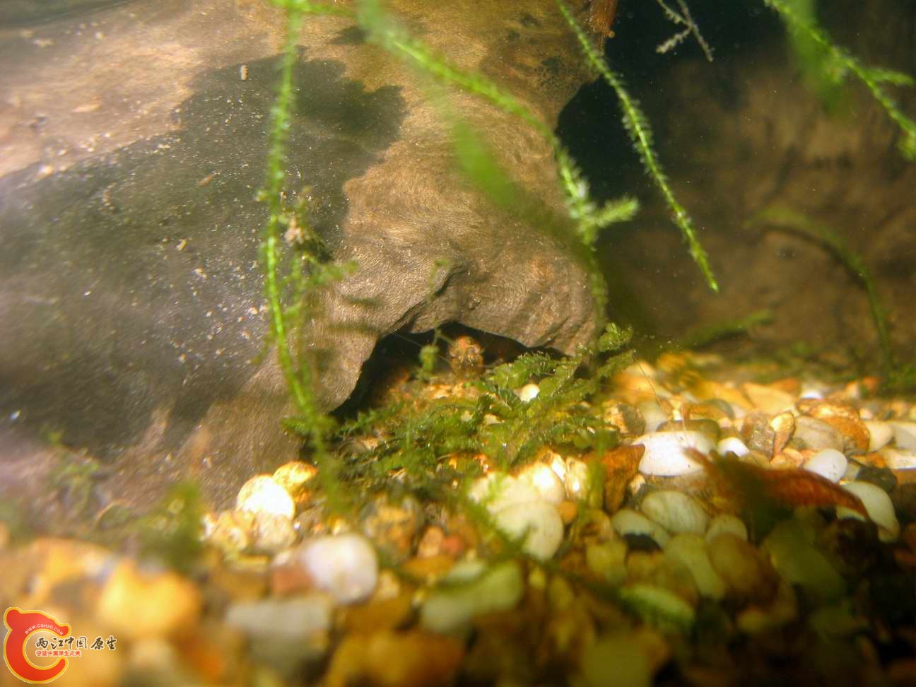 调整大小 照片 103.jpg