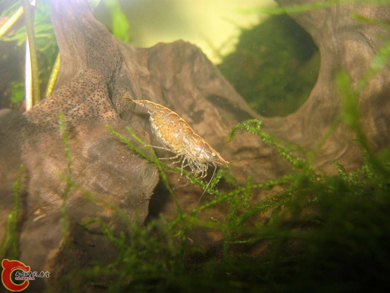 调整大小 照片 095.jpg