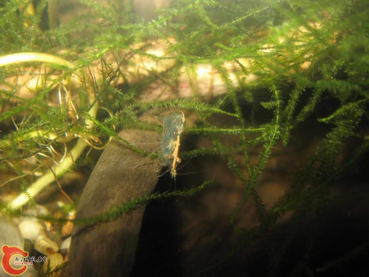 调整大小 照片 092.jpg