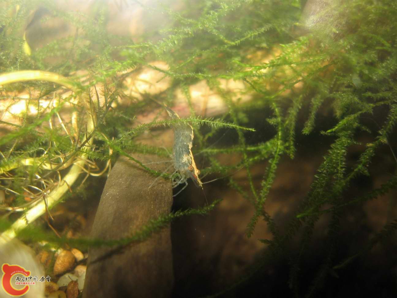 调整大小 照片 093.jpg