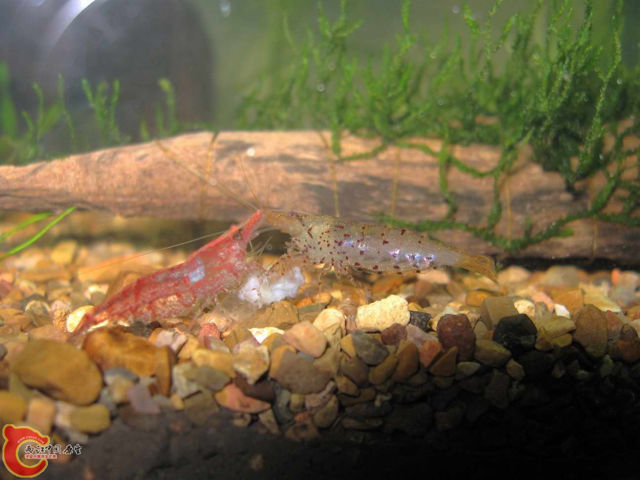 调整大小 照片 559.jpg