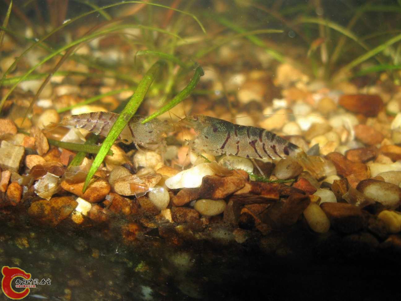 调整大小 照片 595.jpg