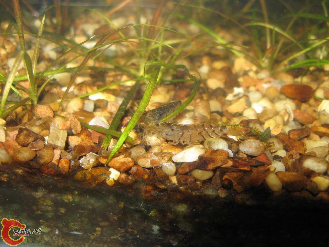 调整大小 照片 598.jpg