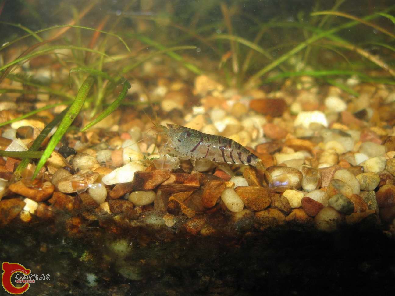 调整大小 照片 593.jpg