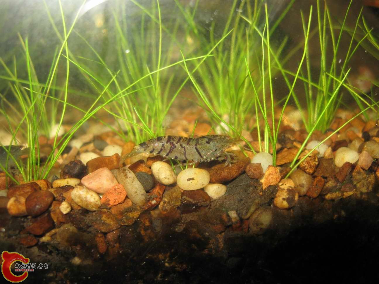 调整大小 照片 581.jpg