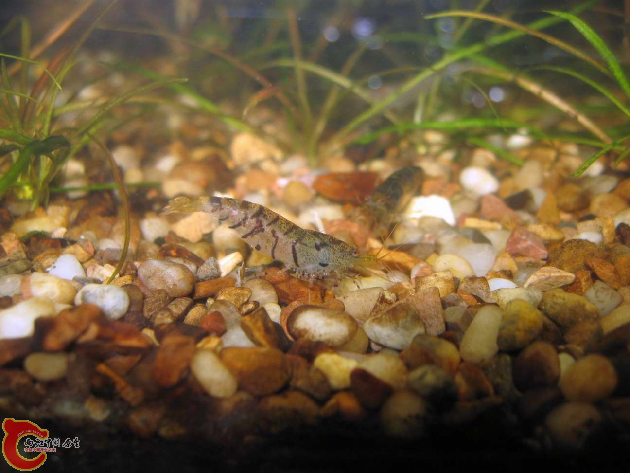 调整大小 照片 586.jpg