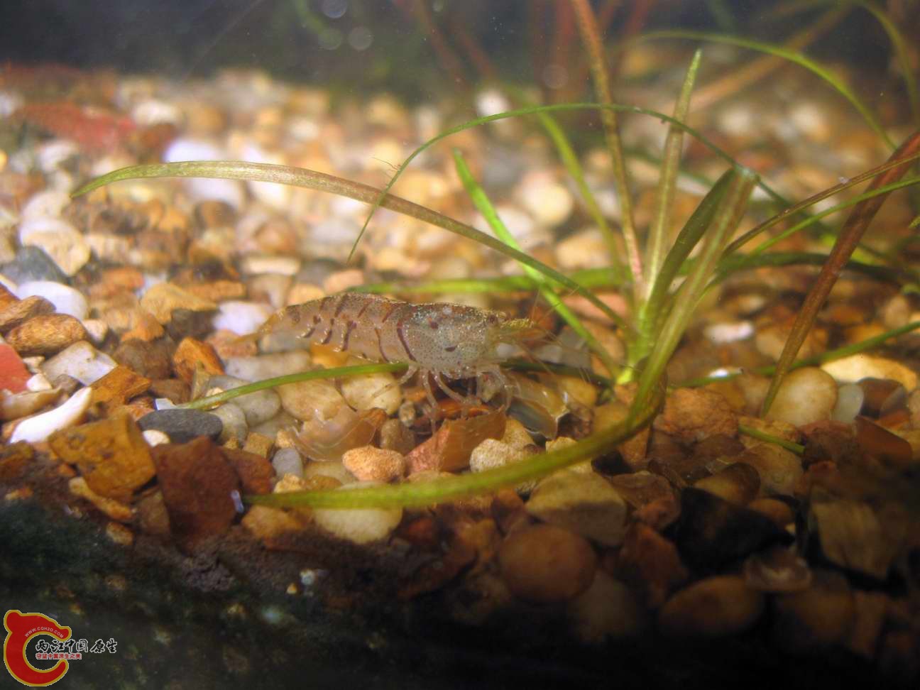 调整大小 照片 603.jpg