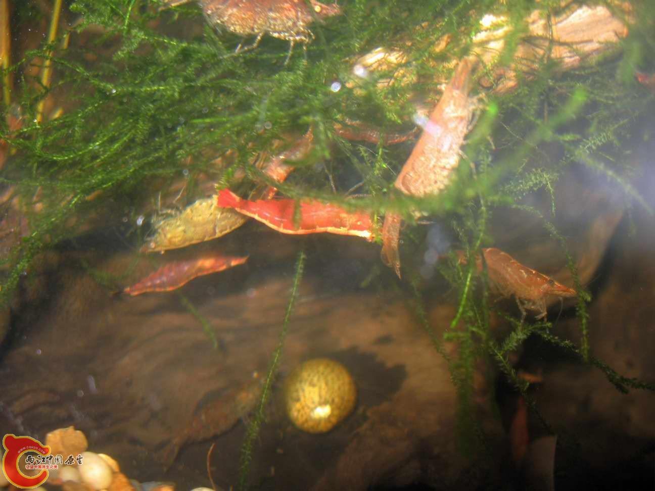 调整大小 照片 363.jpg