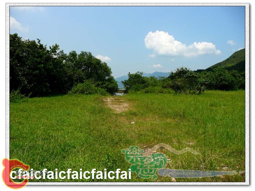 天朗氣清，美丽的香港。