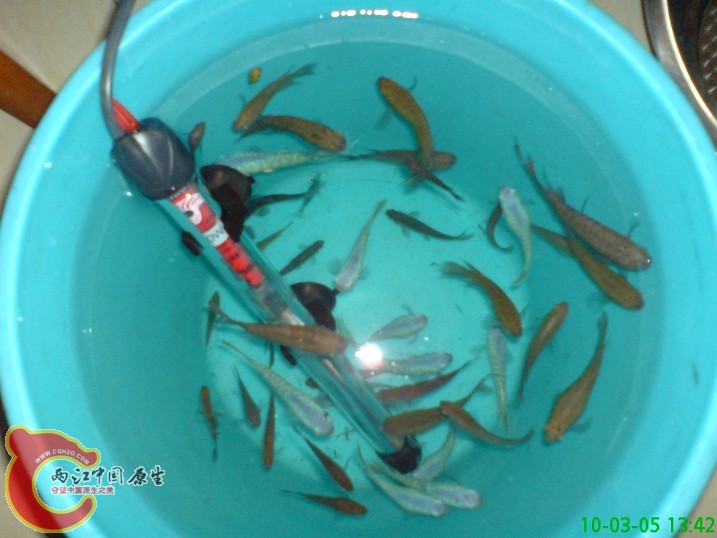 一网打尽 一网打尽